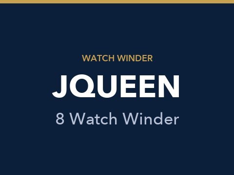 Jins and Vico Watch Winder Review 3 Jqueen 8 Watch Winder